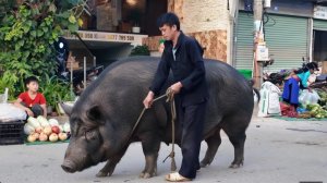 Традиционный рынок на границе Вьетнама и Китая: яркая торговля, культура и этнические меньшинства