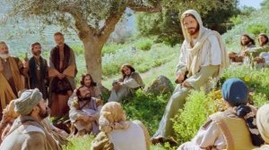 И паче ищите Царства Божия и это всё приложится вам (Лк.12:13-15, 22-31)