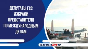 Депутаты ГСС избрали представителя по международным делам