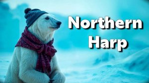 "Северный харп"