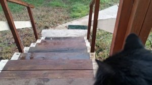 СОЧИ ГОРНОЕ ЛОО УТРО 18.11.2025