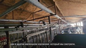 Ep.216 Friends and Great Hospitality (Russian Subtitles)