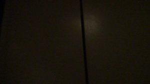 Пассажирский лифт V=0,71 м-с, Q=320 кг (5185)