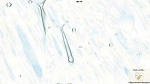 И. Арсено и Ф. Бритт «Луи среди призраков»