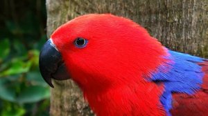 РАССЛАБЛЯЮЩАЯ МУЗЫКА ДЛЯ ДУШИ УСПОКАИВАЮЩАЯ МУЗЫКА ДЛЯ СНА