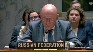 В.А.Небензя на Совете Безопасности ООН по ближневосточному урегулированию, 17 ноября 2025 года