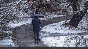 Синоптики спрогнозировали дождь, мокрый снег и до +10 градусов в Москве 18 ноября