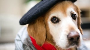 Друзья, рад Вас видеть на своем канале, всем добра и любви!