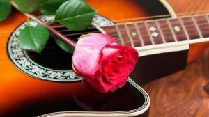 Цыганки Сайдахмад С.(кавер)