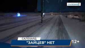 «Зайцев» нет