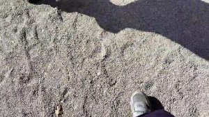 долгожданное видео про кудыкину гору