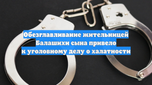 Обезглавливание жительницей Балашихи сына привело к уголовному делу о халатности