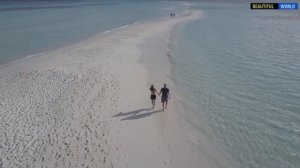 Десятки тысяч ученых призвали ООН ввести климатическое чрезвычайное положение