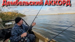 ⚡️На "макуху" сазаны, на живца злой судак 🔥..и Окуня! Рыбалка на Волге. Финал-Ноябрь-2025!