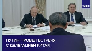 Путин провел встречу с делегацией Китая
