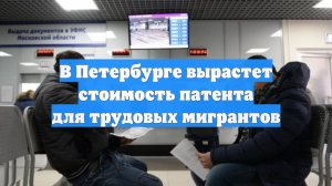 В Петербурге вырастет стоимость патента для трудовых мигрантов