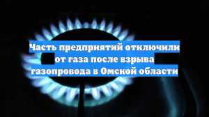 Часть предприятий отключили от газа после взрыва газопровода в Омской области