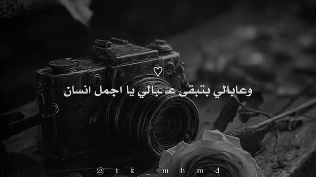 арабские песни смотреть онлайн