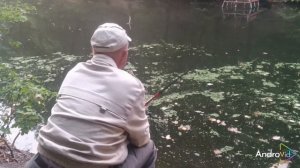 Ловля крупной плотвы на кукурузу совместно с каром.