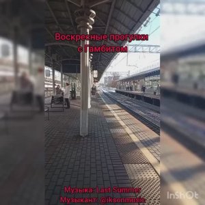 новая рублика воскресные прогулки с Гамбитом 😁🤟🔥 #Moscow #Russia #GorkyPark #GAMBIT #RockGAMBIT