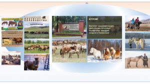 16.11.25 День СХ стран СНГ.  Феликс Фердинандович Аухадеев и Левыкин Сергей Вячеславович