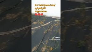 Погибло очень много помидор. неприятность эту мы переживем. #сад #дача #огород #помидоры #дядявитя