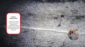 Что скрывает чеснок под микроскопом? Живые клетки, кристаллы и неожиданный гость!