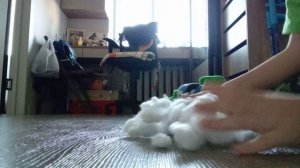 аспирация Нового года!!!