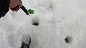 Как заставить хариуса клевать.