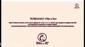 все сми телеканала пёс и ко