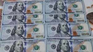 Приобрёл много долларов и евро