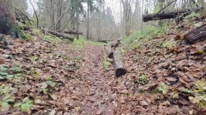 Поход в лес с печкой