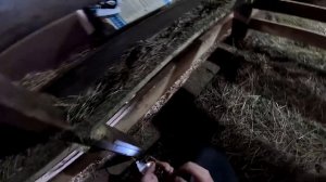 Кого родила овца ? Проблема на проблеме ! ХУТОР В ЛЕСУ №860