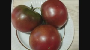 Каталог томатов 2025 год. Часть 10.  г. Киров.