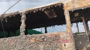 автобус Монаховский карьер Нижняя Крынка ноябрь 2025