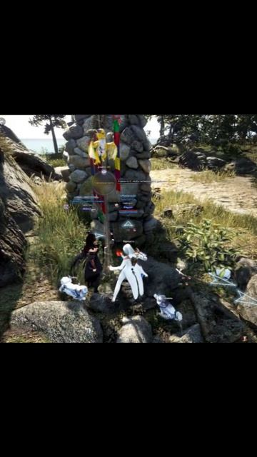 А что вы знали о каменных островах_😅#vilmarionv #mmorpg #bdo #blackdesertonline #gaming #games смотреть онлайн