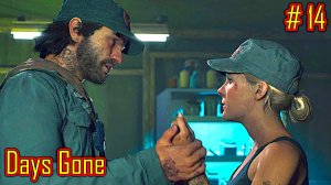 Days Gone прохождение с русской озвучкой часть 14