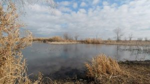 🌿💦 Уединенная рыбалка - Расслабляющая атмосфера природы
