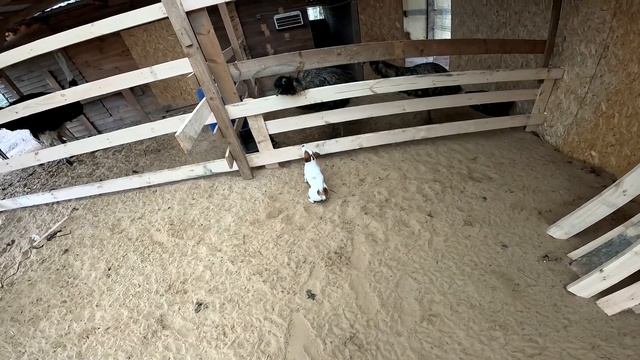 Загон почти готов ! Доп свет в машину ! ХУТОР В ЛЕСУ №888 смотреть онлайн