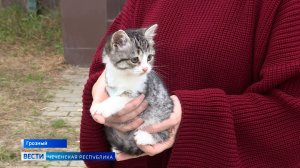 Вести Чеченской Республики 17.11.2025