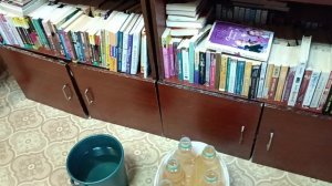 Кормление краснухих черепах и подготовка к мытью