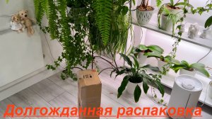 Нашла РЕДКУЮ ОрХиДеЮ😍 Распаковка!!!