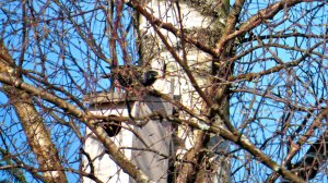 Спасибо! Добрые люди