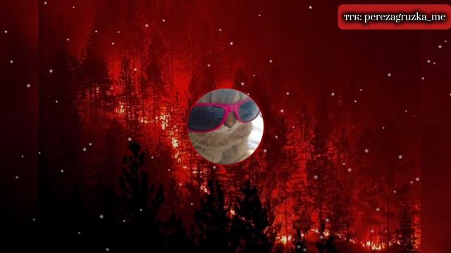 NO BATIDÃO(Super Slowed) смотреть онлайн