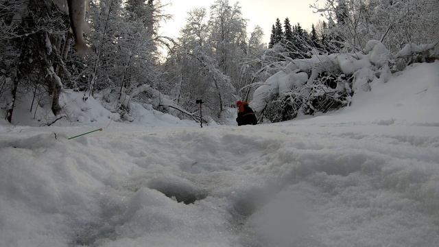 Ловим хариуса на лесной речке.