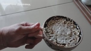 Творожная запеканка в микроволновке. Если не класть сахар будет ПП запеканка. Готовлю в первый раз.