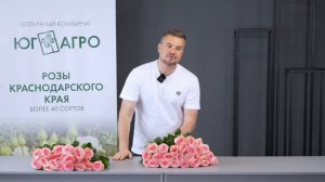 Урок №7. Обзор сорта одноголовых роз Софи Лорен от ЮГ-АГРО