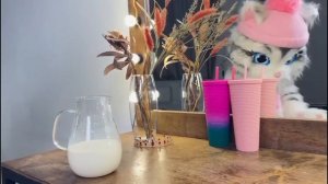 чиловый кот (прохладный кот) Марьяна локель