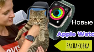 Apple Watch SE 2024, 40 мм, корпус из алюминия цвета «полуночный черный»