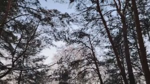 Новости из мира финансов. Налоги (по депозитам), продуктовая корзина и другое.